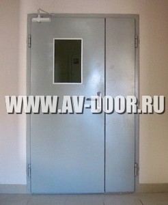 Фото работы: Двустворчатая противопожарная дверь с порошковым окрасом и стеклом