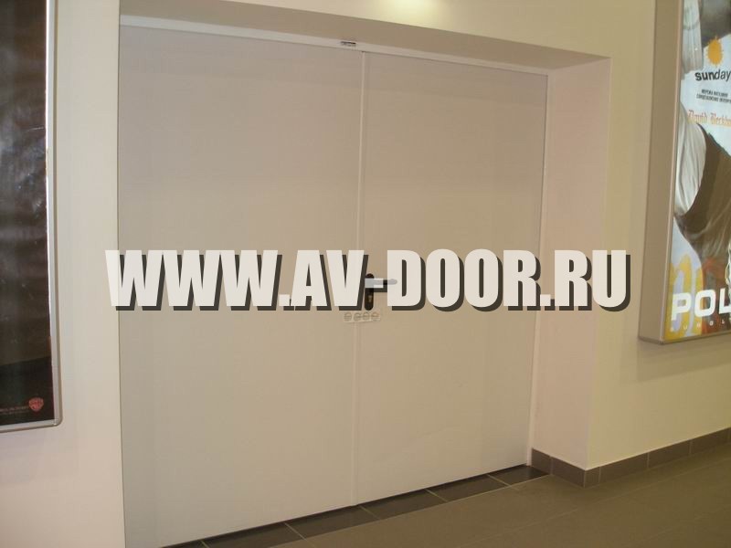 Фото работы: Двупольная глухая дверь бежевая