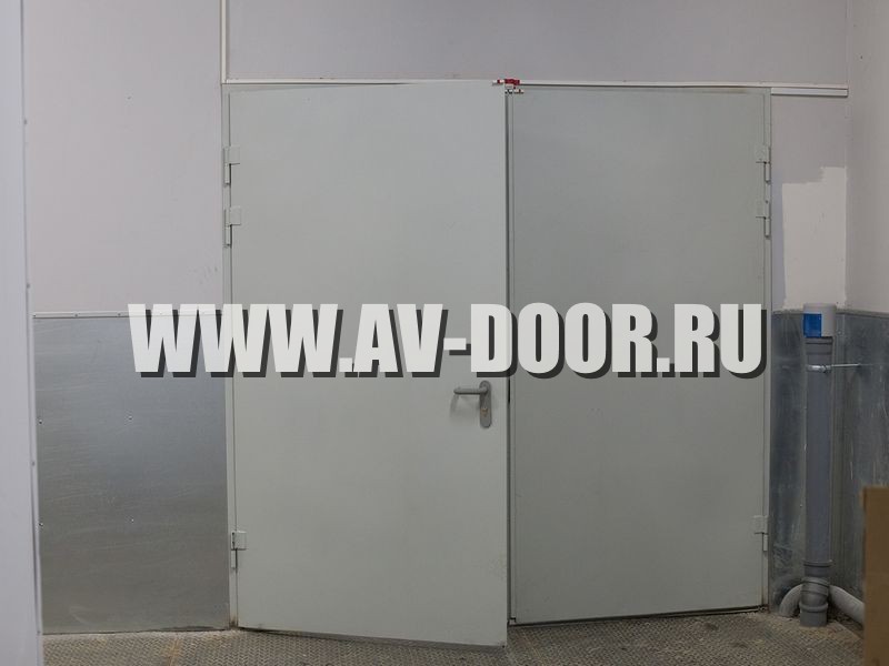 Фото работы: Серая глухая двупольная дверь