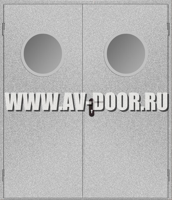 Дверь металлическая противопожарная двустворчатая с остеклением элюминатор ДМП-2O EI-60 