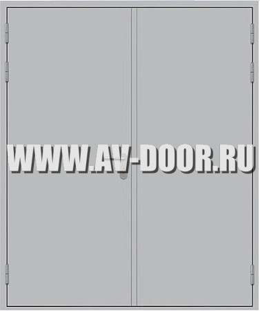Дверь металлическая противопожарная двустворчатая глухая ДМП-2Г EI-60