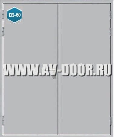 Дверь металлическая противопожарная двустворчатая глухая ДМП-2Г EIS-60