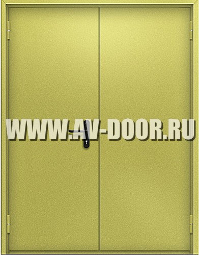 Двупольная противопожарная глухая дверь
