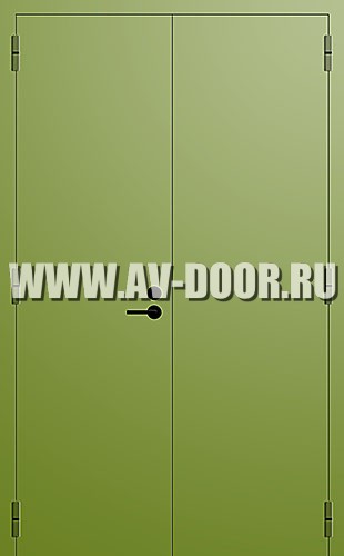 Двупольная противопожарная глухая дверь