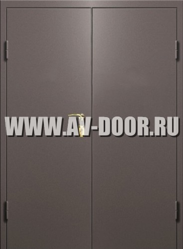 Противопожарная двупольная глухая дверь