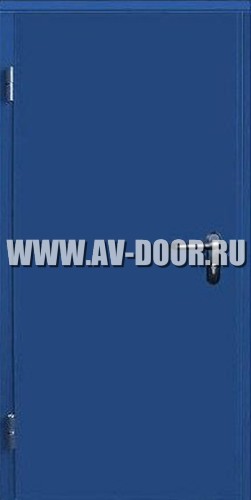 Противопожарная глухая одностворчатая дверь