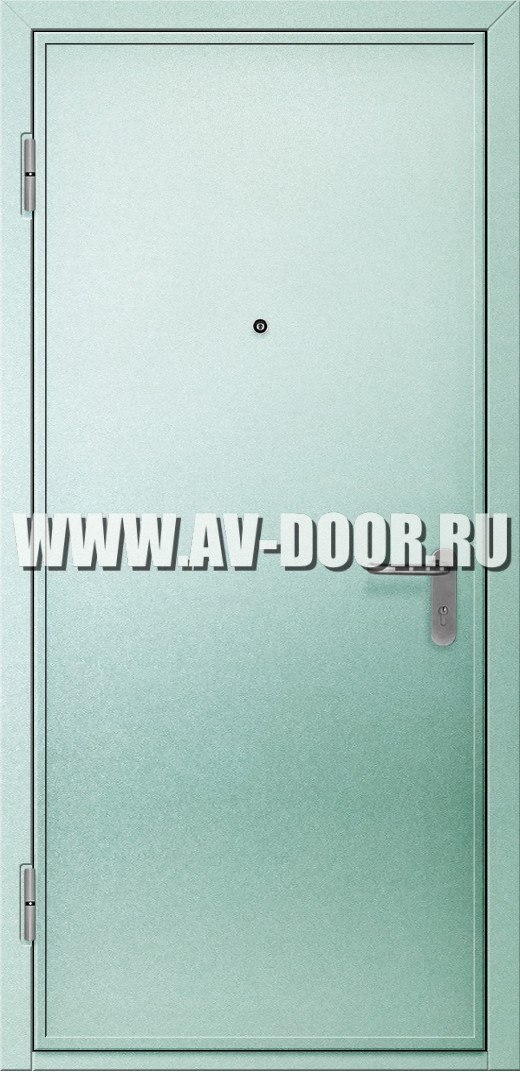 Противопожарная одностворчатая глухая дверь с порошковым напылением