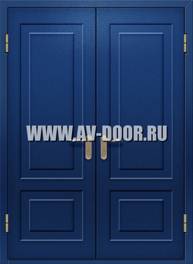 Противопожарная двухстворчатая глухая дверь