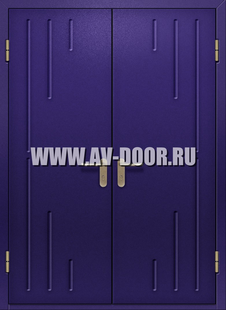 Двухстворчатая дымогазонепроницаемая глухая дверь