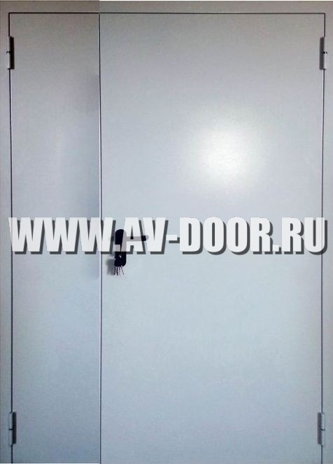 Дверь полуторная глухая ДПП-13
