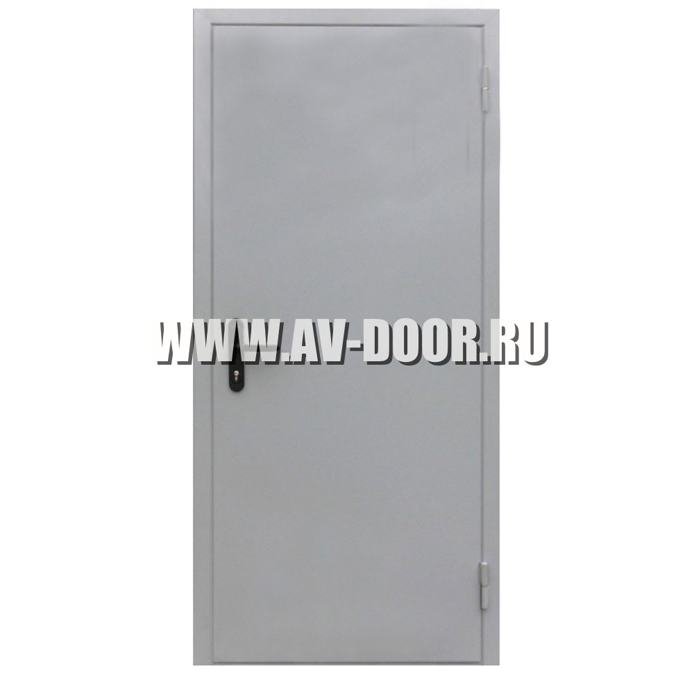 Техническая глухая дверь 700x2100