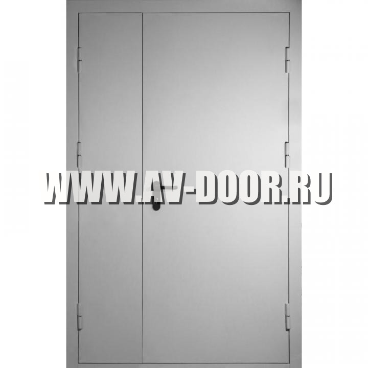 Техническая глухая дверь 1200x2100