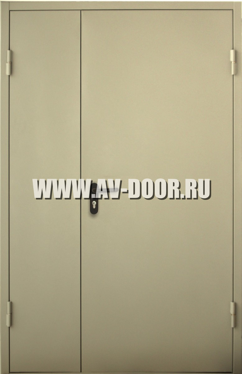 Техническая глухая дверь 1300x2100