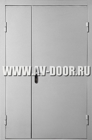 Дверь противопожарная полуторостворчатая глухая ДМП-2Г