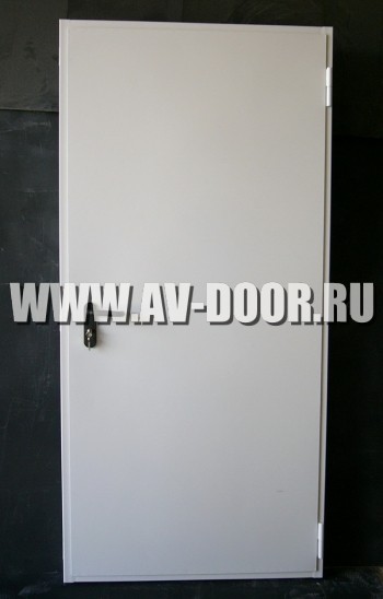 Дверь противопожарная однопольная глухая ДМП-1Г