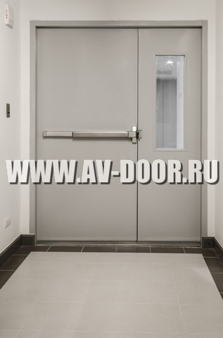 Дверь противопожарная полуторостворчатая с антипаникой и прямоугольным стеклом ДМП-2О
