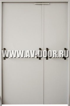 Дверь противопожарная двустворчатая с антипаникой глухая ДМП-2Г