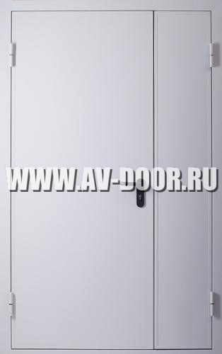 Дверь противопожарная полуторостворчатая глухая без порога ДМП-2Г