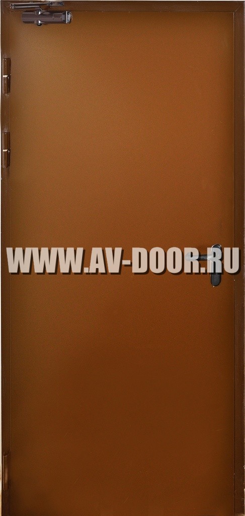 Дверь противопожарная одностворчатая с антипаникой ДМП-1Г