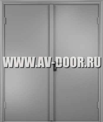 Дверь противопожарная двустворчатая глухая EI-30 ДМП-2Г