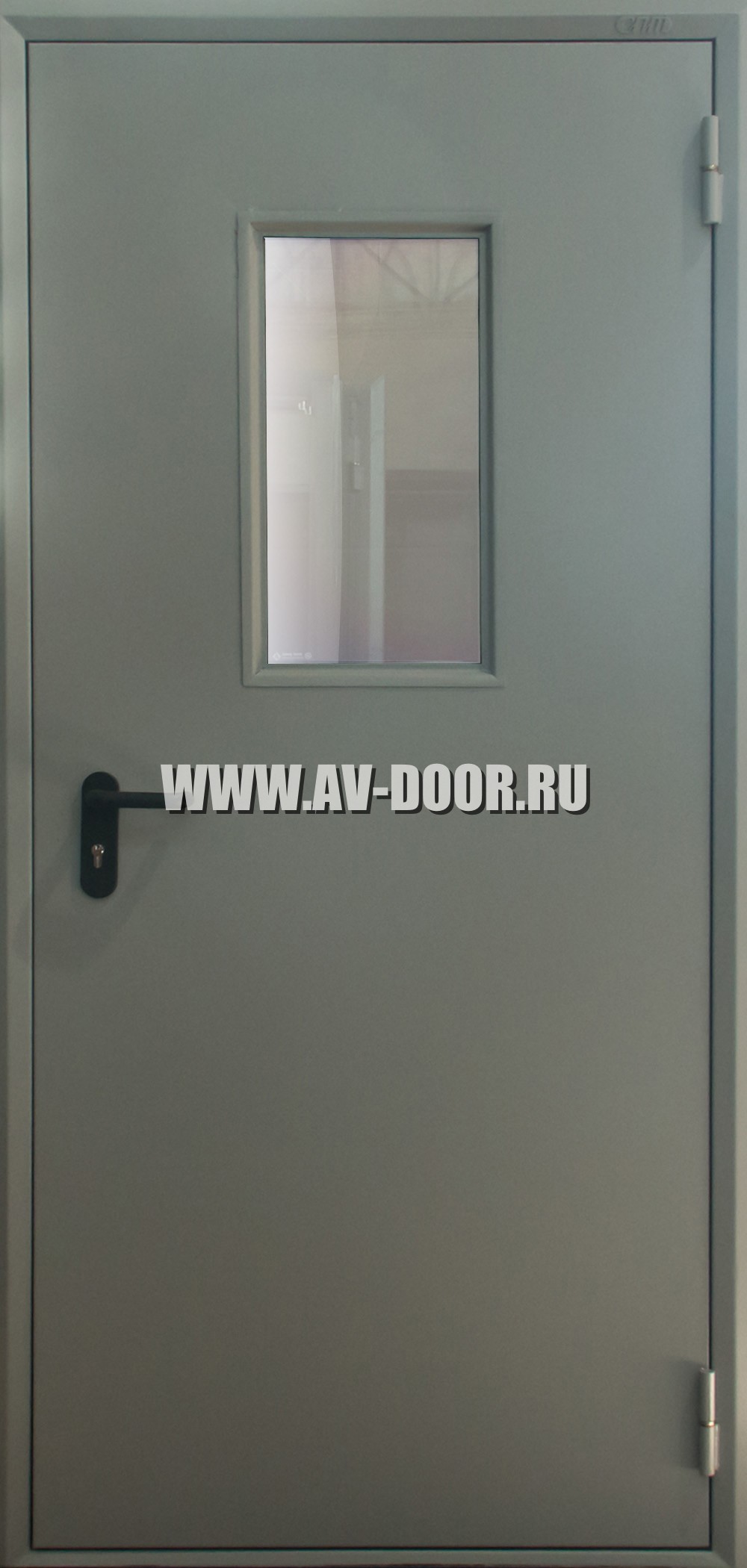 Дверь противопожарная одностворчатая со стеклом темно серая ДМП-1О
