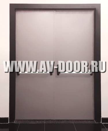 Дверь противопожарная двустворчатая глухая с антипаникой ДМП-2Г
