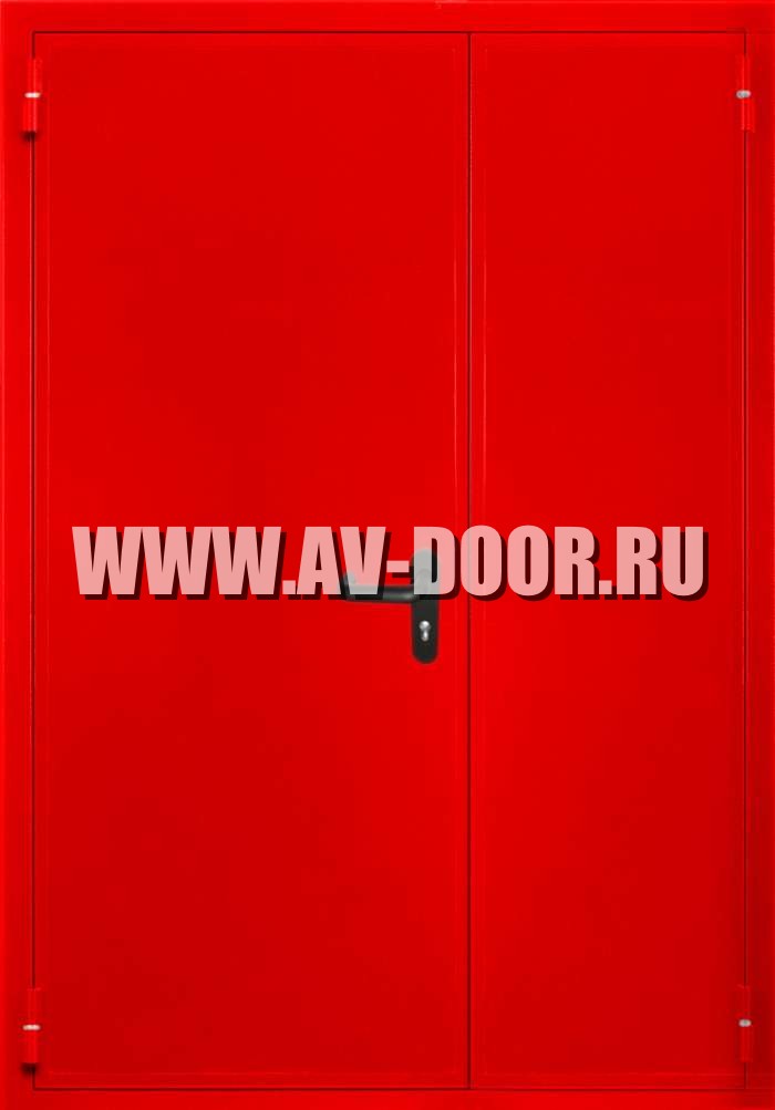 Дверь с защитой от огня двустворчатая глухая ДМП-2Г