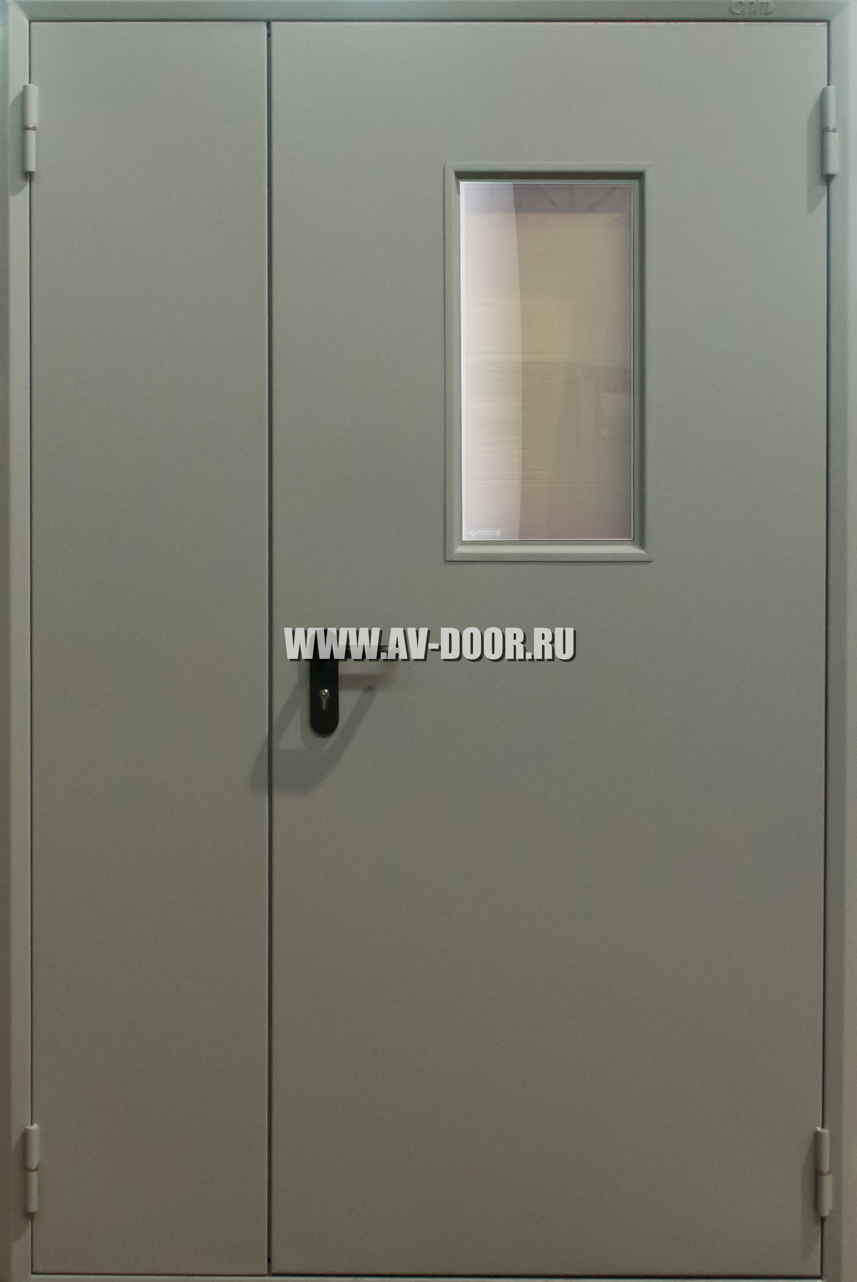 Дверь противопожарная двупольная дверь с прямоугольным стеклом ДМП-2О
