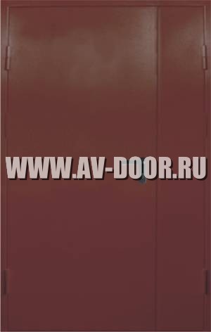 Дверь противопожарная двустворчатая ДМП-2Г