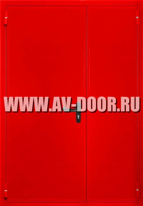 Дверь противопожарная двустворчатая глухая EI-60 ДМП-2Г