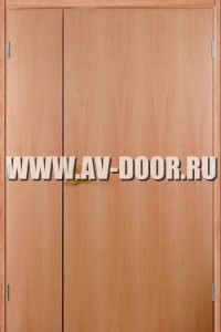 Дверь противопожарная двупольная глухая с отделкой МДФ ДМП-2Г
