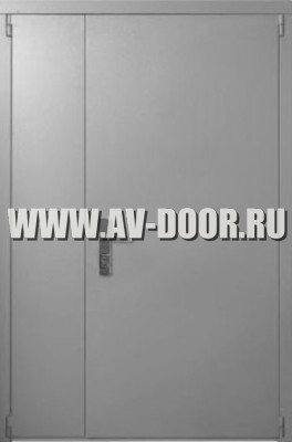 Дверь противопожарная двупольная глухая с защитой от газа ДМП-2Г
