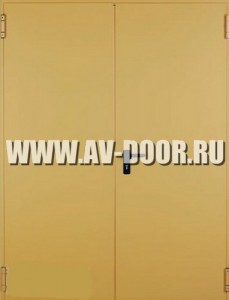 Дверь двустворчатая глухая дымогазонепроницаемая ДМП-2Г