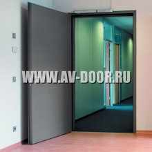 Темно-серая глухая однопольная техническая дверь